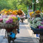 Discover the Charm of Hanoi: A Perfect Blend of Tradition and Modernity