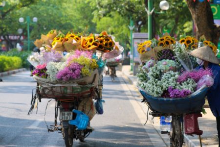 Discover the Charm of Hanoi: A Perfect Blend of Tradition and Modernity