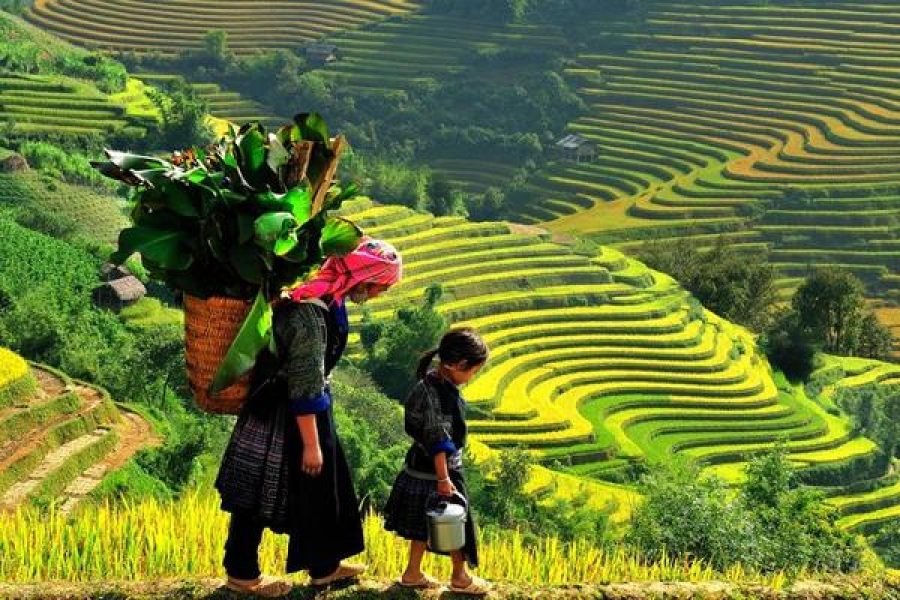 5 Days / 4 Nights Hanoi – Sapa