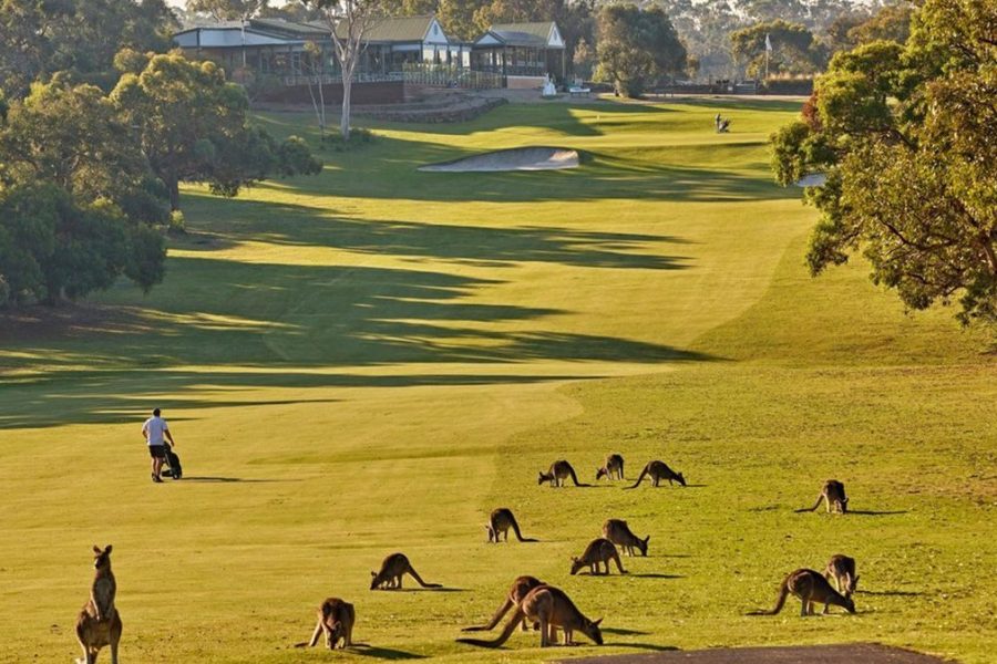 Bellarine Golf & Wine Getaway – 7 Days of Coastal Elegance